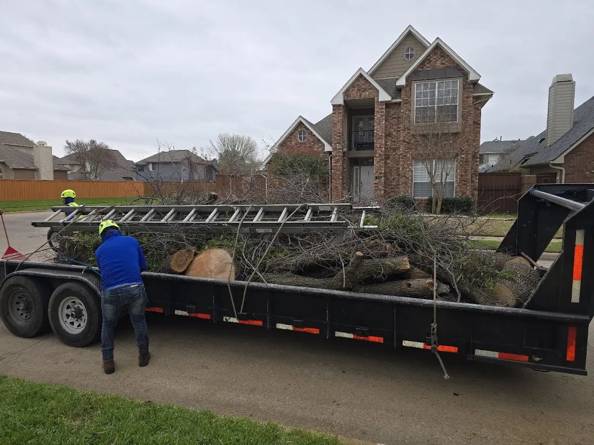 Expert Lot Clearing with proper safety equipment in Grassflat